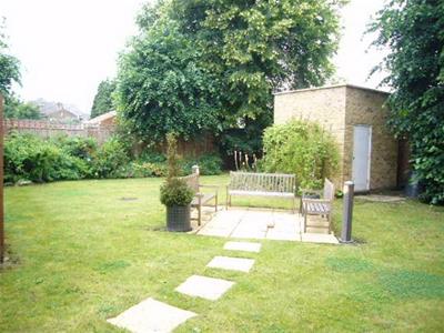Picture 8